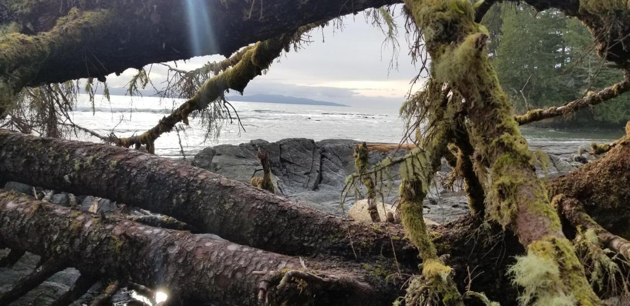 Newfie Seaside Retreat Port Renfrew Exterior foto